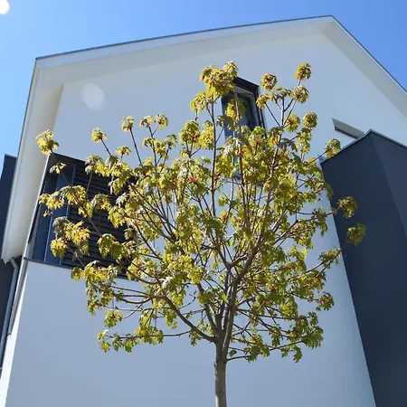 Apartment Kapps Haus *